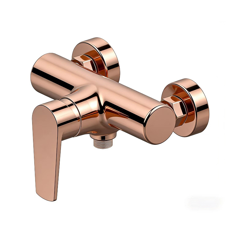 TONGQC35SS Series Stainless Steel Single-Handle Faucet