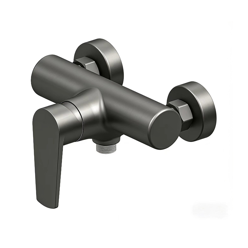 TONGQC35SS Series Stainless Steel Single-Handle Faucet