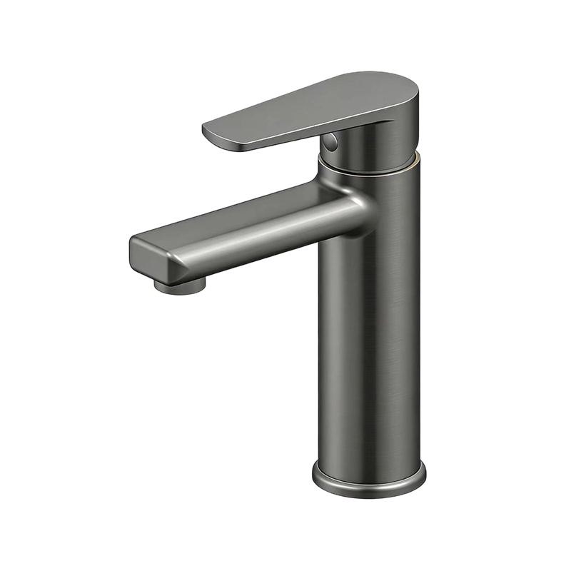 TONGQC35SS Series Stainless Steel Single-Handle Faucet