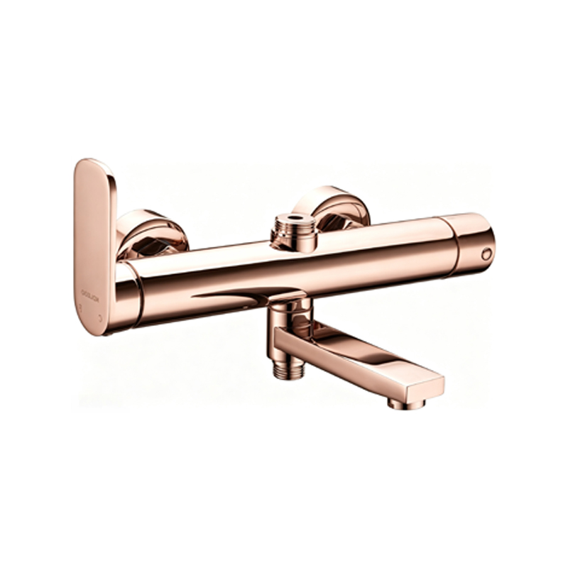 Stainless Steel Wall-Mounted Shower Column Faucet