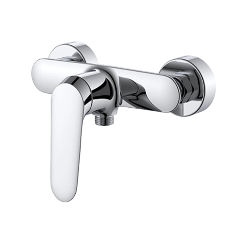 Single-Handle Wall-Mounted Shower Faucet